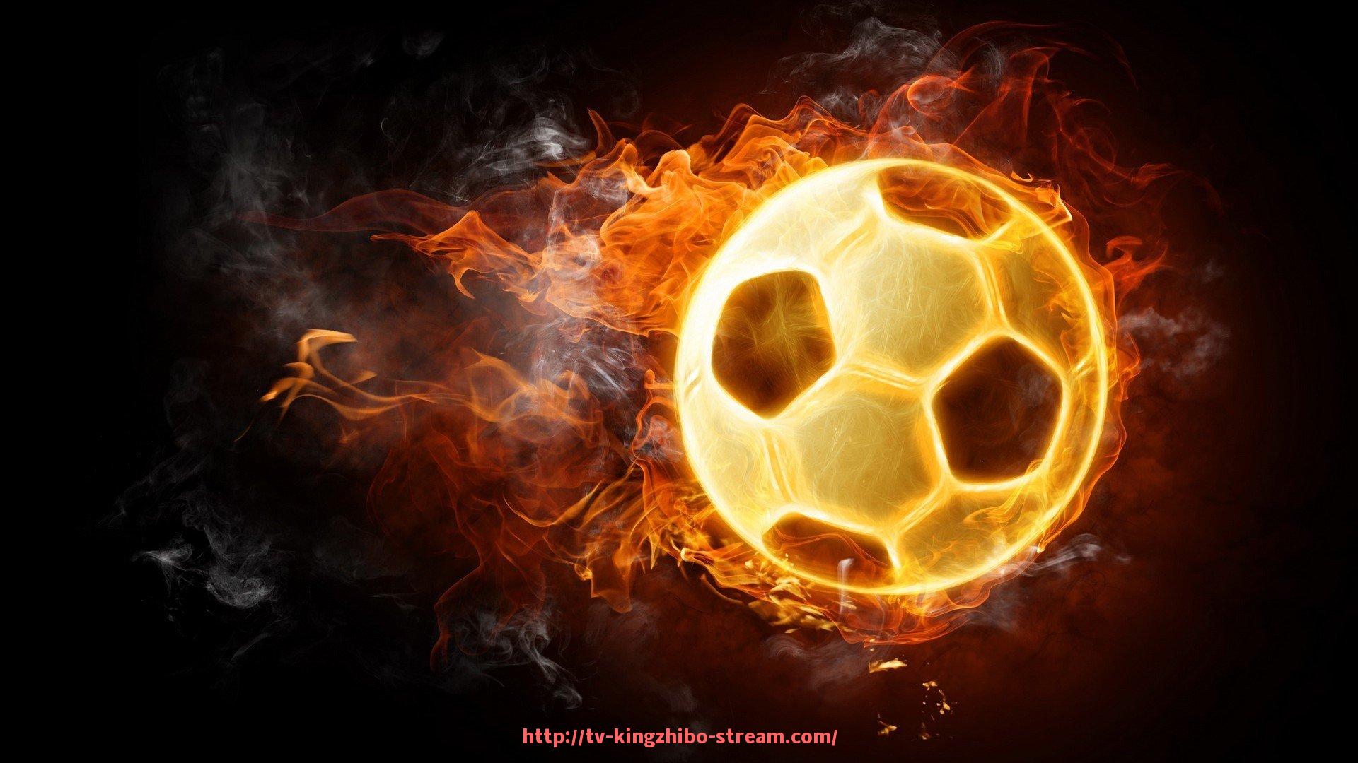 王者体育直播-法甲赛事数据监控系统及技术应用介绍