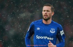 王者体育直播-法甲外援技术适应总结及其对赛季竞技状态的影响